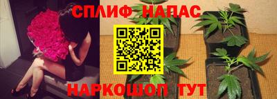 молекула духа Краснодар